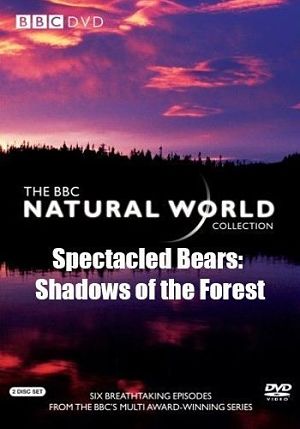 BBC: Мир природы. Андские медведи – призраки леса / The Natural World. Spectacled Bears (2008)