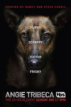 Энджи Трайбека / Angie Tribeca (2016)