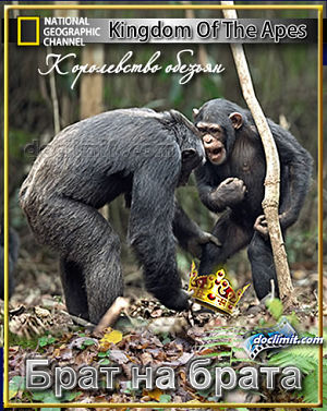 Королевство обезьян: Брат на брата / Wild Kingdom Of The Apes (2014)