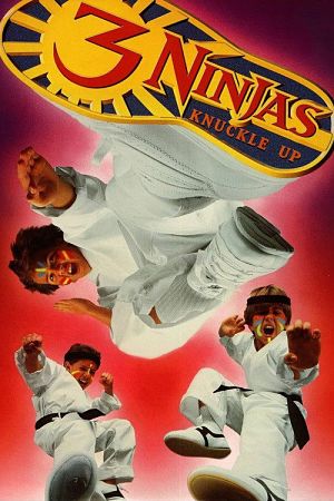 Три ниндзя: Костяшки вверх / 3 Ninjas Knuckle Up (1995)