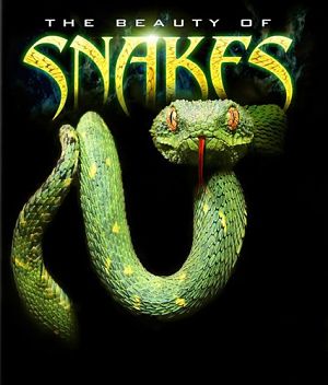 Discovery: Красота змей / Discovery: The Beauty Of Snakes (2006)