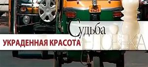 Судьба человека. Украденная красота (2016)
