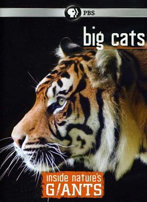 Анатомия крупнейших животных: Большие кошки / Inside Nature's Giants: Big Cats (2012)