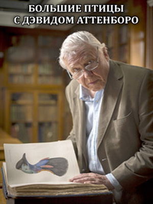 Большие птицы с Дэвидом Аттенборо / BBC Natural World: Attenborough's Big Birds (2015)