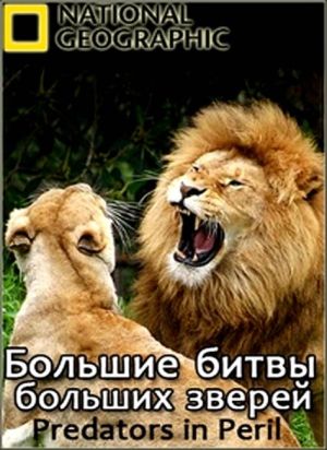 Большие битвы больших зверей / Predators in Peril / Big Game Diaries (2008)