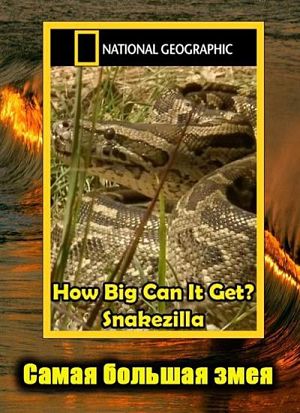 Гиганты мира животных. Самая большая змея / How Big Can It Get? Snakezilla (2011)