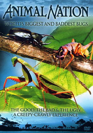 Самые большие и страшные жуки в мире / World's Biggest and Baddest Bugs (2004)