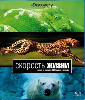 Discovery: Скорость жизни / Discovery: Speed of Life (2010)