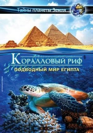Коралловый риф: Подводный мир Египта / Adventure coral reef: Under the sea of Egypt (2012)