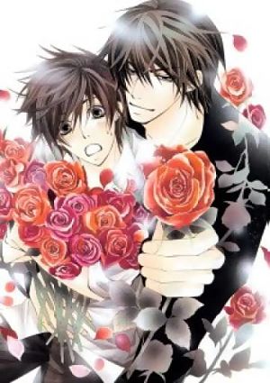 Лучшая в мире первая любовь / Sekai-ichi Hatsukoi (2011)