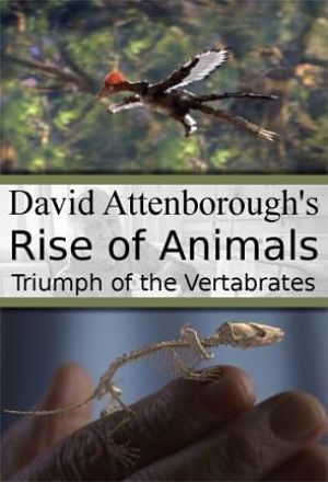 История животного мира с Дэвидом Аттенборо / Rise of Animals: Triumph of the Vertebrates (2013)