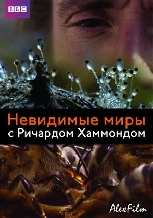 Невидимые миры / BBC: Richard Hammonds Invisible Worlds (2010)