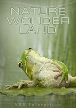 Мир живой природы VI / Чудеса природы / NHK. Nature Wonder Land VI (2012)