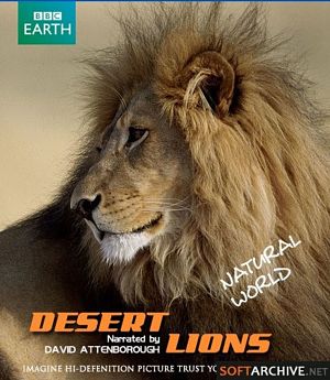 Мир природы: Львы пустыни / Natural World: Desert Lions (2007)