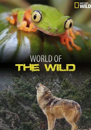 Мир дикой природы / Nat Geo Wild: World of the Wild (2016)