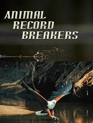 Рекордсмены из мира животных / Animal Record Breakers (2014)